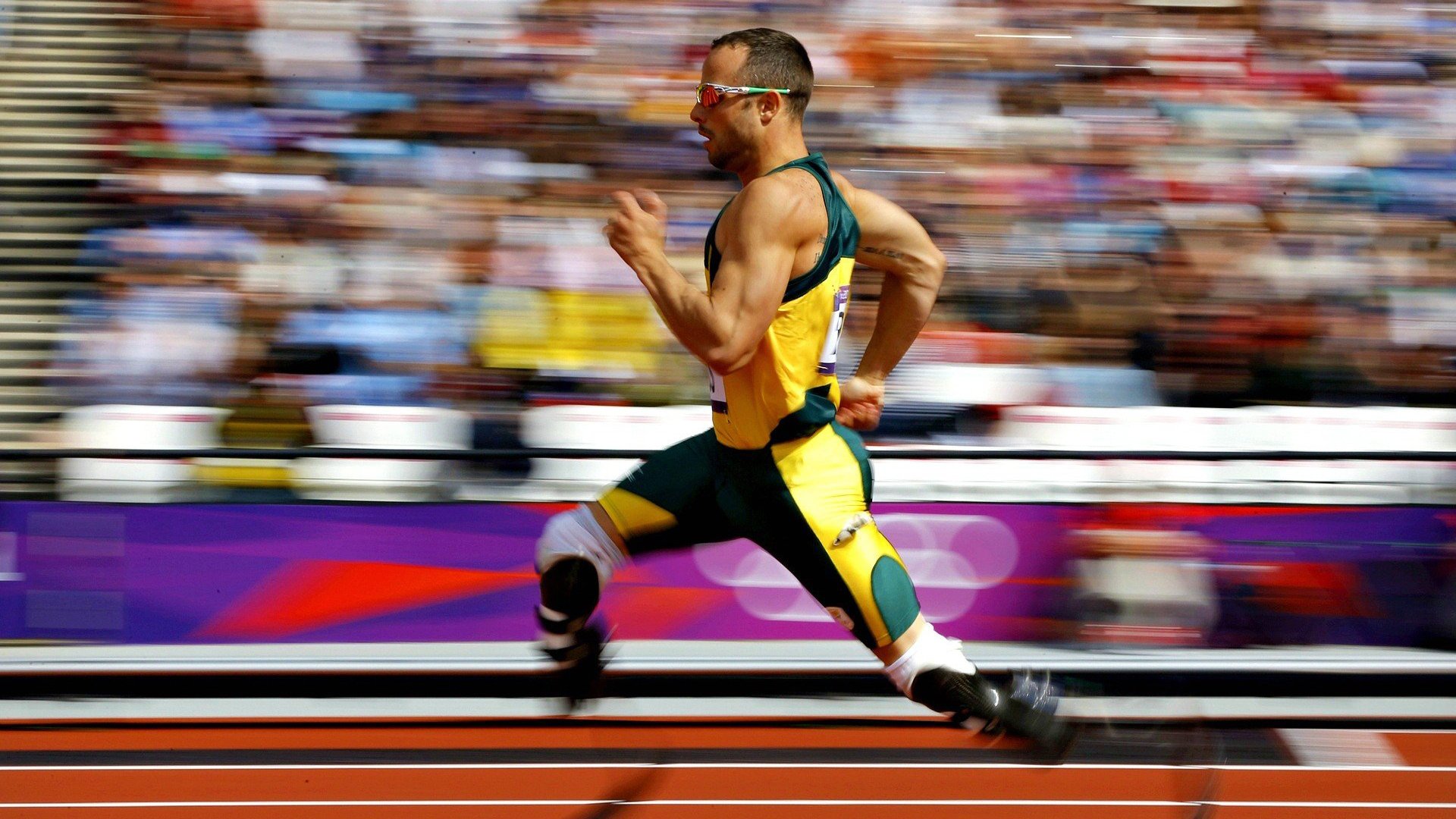 开云官网首页-_北极探险赛：冰天雪地中的极限运动_，北极探险视频