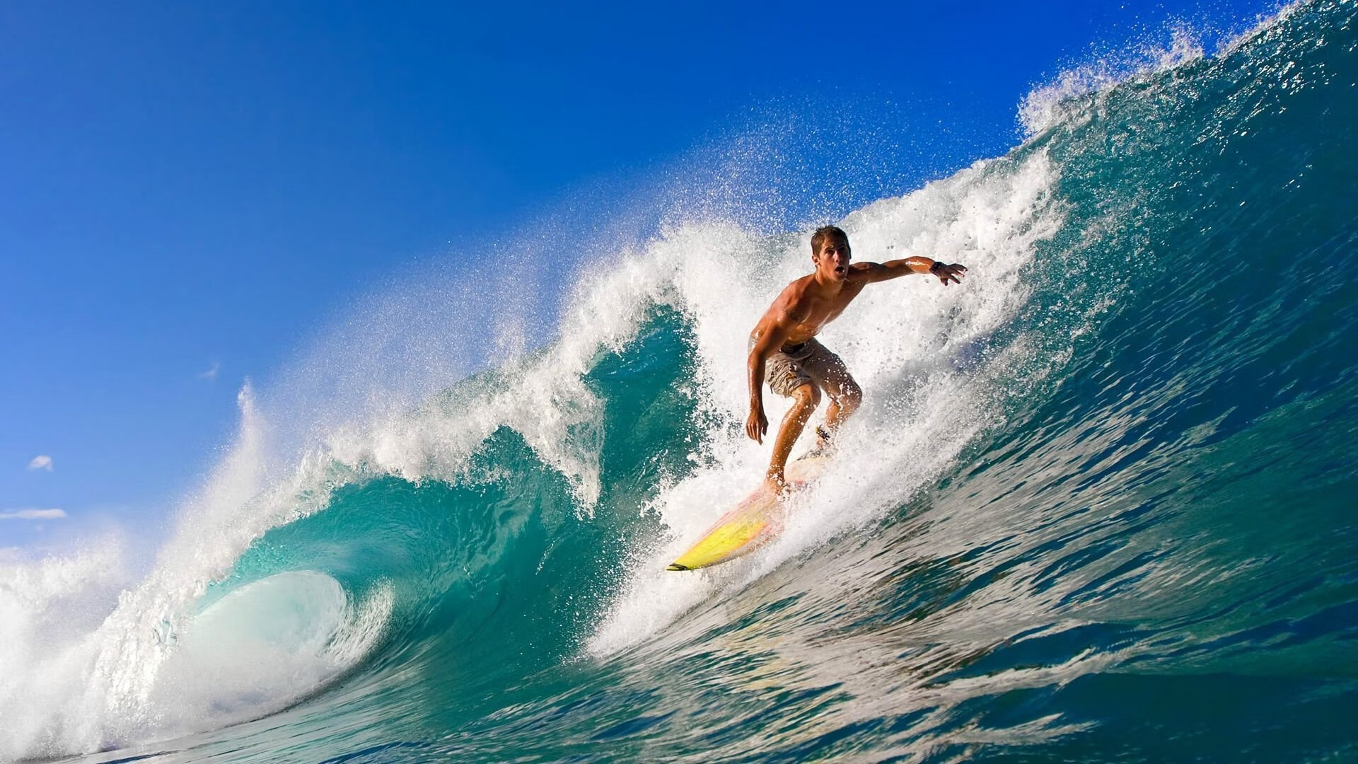 史上最“燃”瞬间：球场上的绝杀与盖帽一网打尽，球赛绝杀什么意思